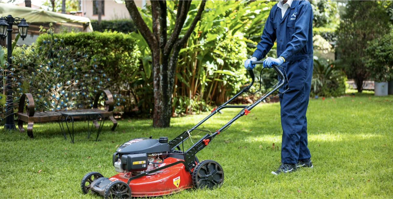 Domestic Gardening & Landscaping